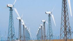 Asociatia Romana pentru Energie Eoliana, despre reducerea schemei de sprijin pentru regenerabile