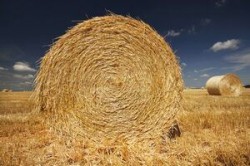 O noua solutie: incalzirea cu agropeleti