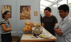 Beneficiile agriculturii ecologice, prezentate la USAMV