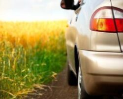"Benzina verde" este testata de cercetatorii americani