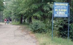 Primaria a taiat bugetul pentru plantarile care compensau defrisarile de la Ciric