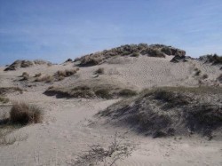 defrisare