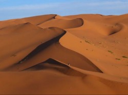 sahara