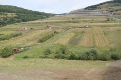 Un fond de investitii vrea sa achizitioneze 1.000 de hectare de teren la Cluj