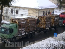 Prefectul de Valcea: “Nu trebuie sa mai vindem busteni!”