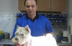 Cine va fi noul presedinte al Autoritatii Sanitar-Veterinare
