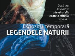 Ora Pamantului va fi marcata la Muzeul de Istorie Naturala al MNB din Sibiu in cadrul unui vernisaj