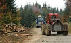 Polueaza apele fara sa le pese / Garda de Mediu, cu ochii pe firmele de exploatare a lemnului