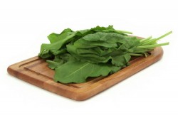 Stevia, remediu naturist