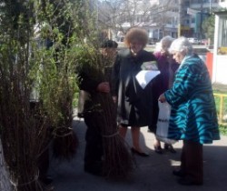 Actiunea “Flori de Mai” continua: gard viu si gazon pentru Constanta verde