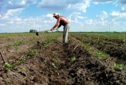 Politica agricola comuna "trebuie sa fie verde"