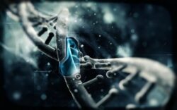 Bandajele imbibate cu ARN ar putea trata, la nivel genetic, cele mai grave afectiuni