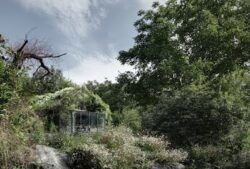 Inghitit de natura: Garajul din munti transformat in casa-gradina