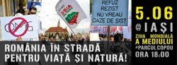 Iesenii ies in strada pentru protejarea naturii