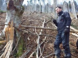 Padurarii din ocoalele silvice private, cu mainile goale in fata hotilor de lemne