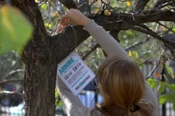 Campania „Pune pret pe natura!” arata care este valoarea ariilor protejate din Muntii Carpati