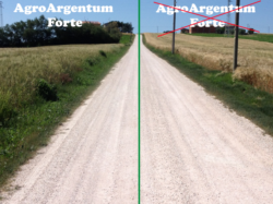Argintul, componenta principala a unui nou tip de fertilizant ecologic