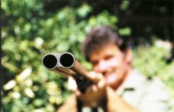 Ministrul Padurilor vrea sa le dea arme padurarilor