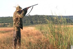 Italian prins la braconaj. Avea asupra lui de 5.392 ciocarlii moarte, noua prepelite, doua potarnichi, trei iepuri si un soim