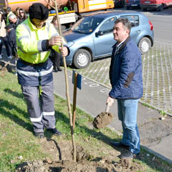 La Deva, a inceput campania de plantare a pomilor