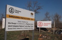 Tasuleasa Social a plantat copaci intr-un parc din Sebes-Alba. Urmeaza Padurea Transilvania!