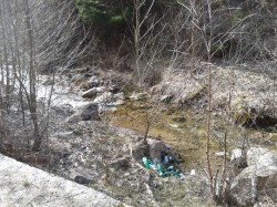 Actiune de ecologizare in Cheile Runcului