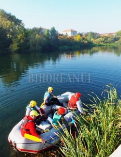 Plantari pe malul Petei si curatenie pe Cris, de Ziua Apei