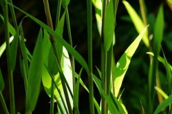 Sanatate: Textilele BIO pentru copii si bebelusi - o fita? Sau o necesitate?