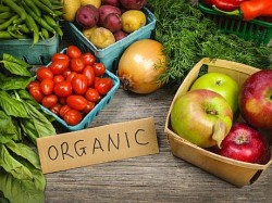 Comisia Europeana vrea reguli mai stricte pentru agricultura ecologica: Exploatatiile mixte ar putea disparea pentru a face loc produselor bio 100%