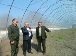 Modernizarea pepinierilor silvice! A inceput campania de plantare a arborilor in Republica Moldova