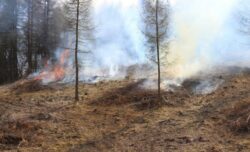 Doua hectare au fost incendiate pe Situl Natura 2000 “Fagetul Clujului – Valea Morii”
