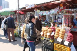 Satmarenii se pregatesc de gradinarit