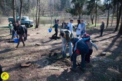 Starea naturii este principala preocupare a ONG-urilor de mediu din Chisinau