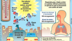 Studiu: motoarele diesel pot duce la disparitia albinelor, poate si a vietii!