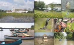 Parcul Natural Lunca Muresului, paradisul de langa noi