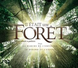Filmul “A Fost Odata O Padure” Intra In Cinematografe Din 14 Iunie