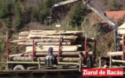 Politia, Antifrauda, Garda de Mediu si Silvicul au dat amenzi de 100.000 de lei pe Valea Muntelui