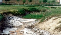 Ecologistii bat alarma: Raurile mici sunt pe cale de disparitie