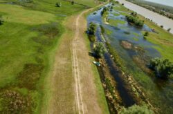 Renaturarea luncii Dunarii, beneficii pentru oameni si natura - un nou proiect lansat de WWF-Romania