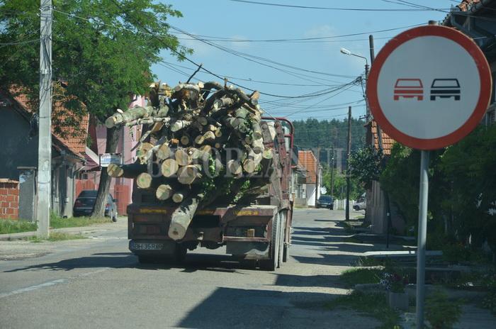 În Bihor, buştenii ies din pădure doar cu cod dat de smartphone. Lemnarii care nu se supun riscă să rămână cu afacerea suspendată! În Bihor, bu?tenii ies din p?dure doar cu cod dat de smartphone. Lemnarii care nu se supun risc? s? r?mân? cu afacerea suspendat?!