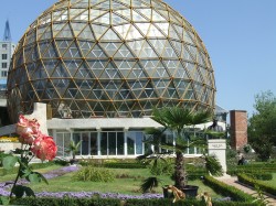 Cercetatorii romani au descoperit planta care ar putea invinge cancerul