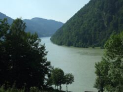 Ecologi din Romania, Ucraina si Moldova desfasoara cercetari in raioanele Cantemir si Cahul