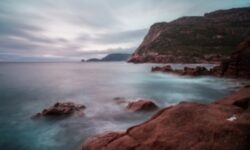 Forme de viata stranii descoperite in ocean: creaturile nu seamana cu nimic altceva din lumea vie