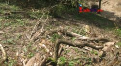 Primele urmari ale dezastrului ecologic din Cheile Garlistei: tone de pamant adus de ape peste garlisteni