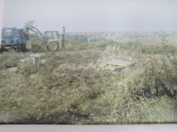 Masacru ecologic la marginea municipiului Botosani! "Garda de Mediu doarme, Agentia pentru Protectia Mediului doarme!"
