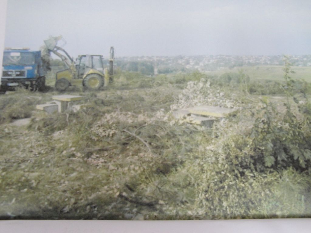 DSC04151(1)