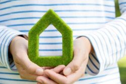 10 sfaturi pentru o viata eco