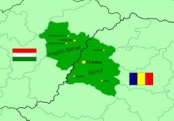 Generatia Verde in Bihor: informari si curs despre colectarea selectiva a deseurilor