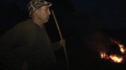 Lupta omului cu mistretul pentru existenta