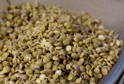 23 de surse din care vegetarienii isi pot lua proteinele